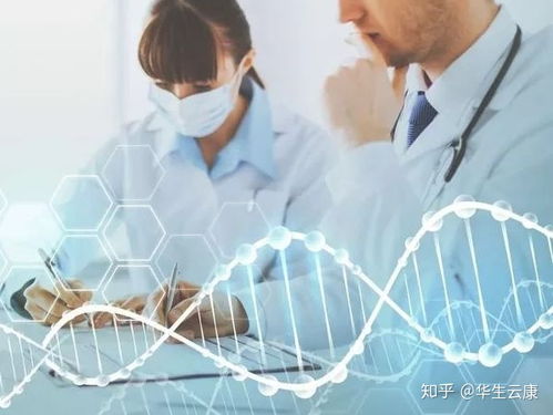 500元测出祖宗十八代 华生云康揭开基因检测的神秘面纱
